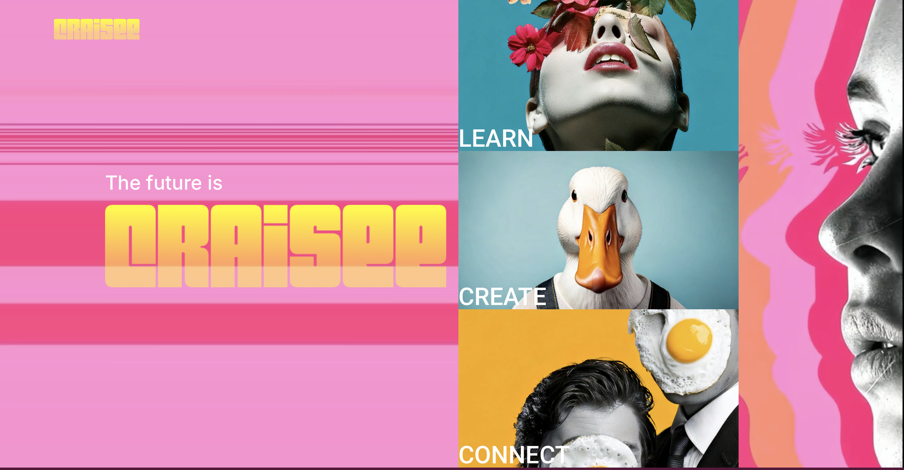 CRAISEE - The future is here